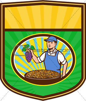 Organic Farmer Boy Grapes Raisins Crest Retro