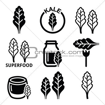 Superfood - kale leaves vector icons set