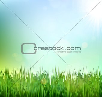Grass and Sunshine