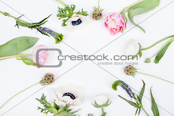Spring flowers, tulip, anemone, clove and buttercup