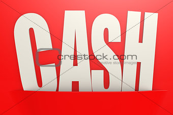 White cash word in red pocket, business concept