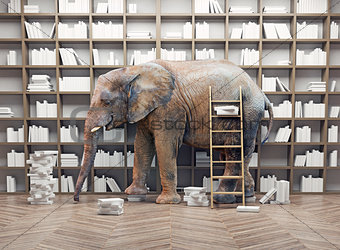 elephant  in the  library