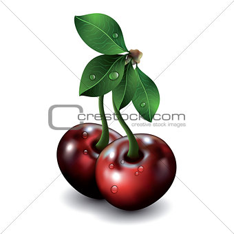 Pair of cherries isolated on white background. 