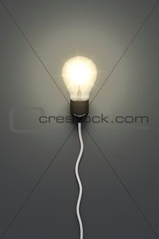 light bulb on a grey background