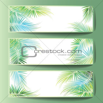 Banners with the palm tree branches. 