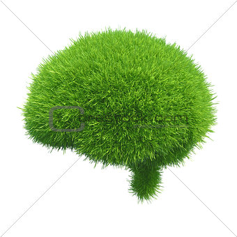 Human brain is covered with green grass isolated on white background