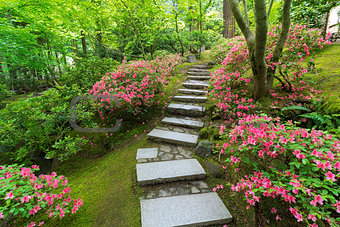 Azaleas in Bloom along Japanese Stone Stairs