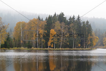 Autumn forest on the shores of lake