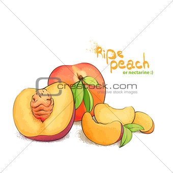 ripe peach fruit