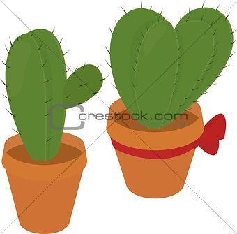 cactus in  brown pot, desert green flora, prickly plant, thorny, spiny