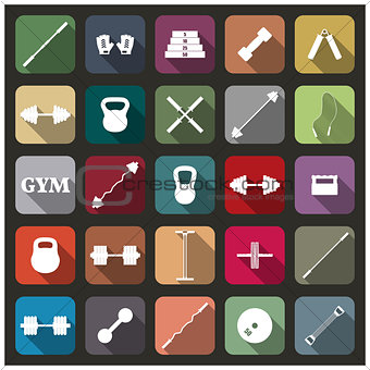Icons equipment for the gym, vector illustration