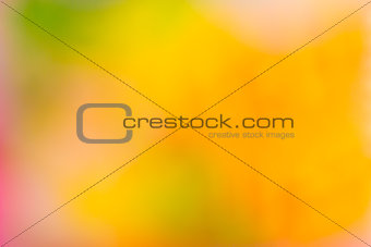 Abstract blur fresh color background