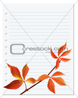 Exercise book with autumnal virginia creeper leaf 