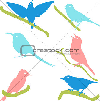 Bird Silhouettes, colored silhouettes.
