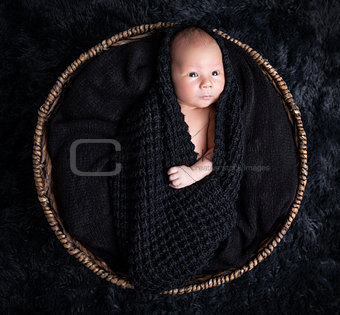 Beautiful newborn inside a basket