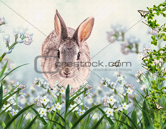 Gray lovely rabbit in a grass. Children's illustration