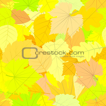 Seamless pattern. Autumn leaves