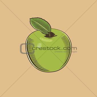Apple in vintage style. Colored vector illustration
