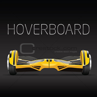 dual wheel selfbalance electric hover board