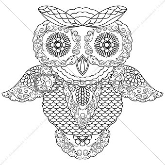 Big owl abstract outline