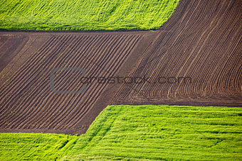 Agricultural landscape layers field and meadow view