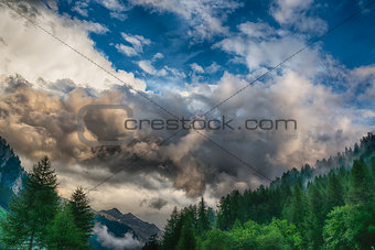 Cloudy sky over the forest