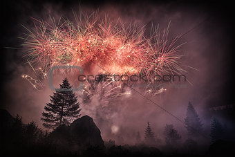Fireworks in the forest 