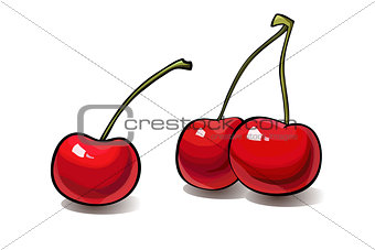 Ripe red cherry berries