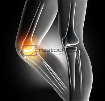 3D female medical image of bones in knee