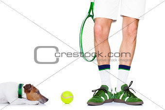 dog tennis ball player