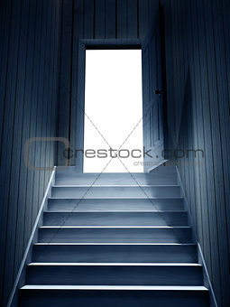 Steps leading from a dark basement to open the door