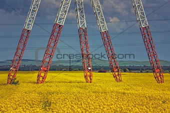 Power pole pylons in rapeseed field