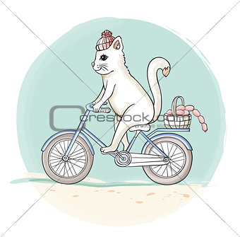Cat on the bike