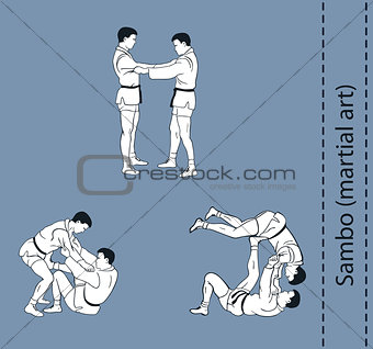 Illustration, men demonstrate the fight of SAMBO 