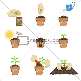 Planting The Seed Sequence