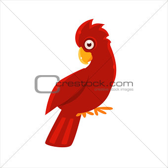 Red Cockatoo Parrot