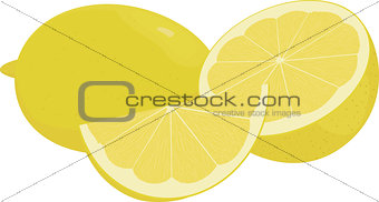 Fresh yellow  lemons, collection of vector illustration