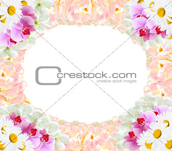 frame from different flowers orchids tulips camomile