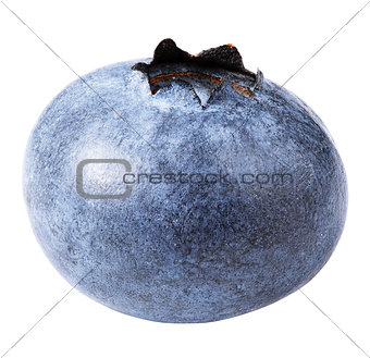 Blueberry berry isolated on white