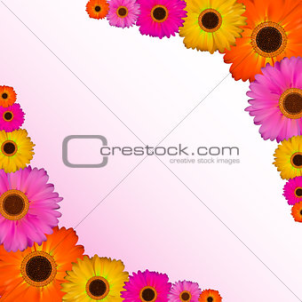 Gerbera Flower Natural Background Vector Illustration