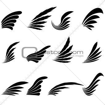 Set of Wings Icons Isolated on White Background