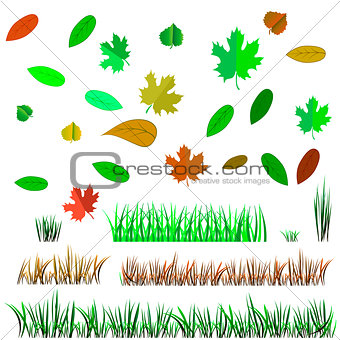 Autumn Leaves and Autumn Grass