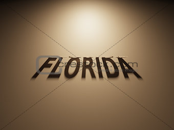 3D Rendering of a Shadow Text that reads Florida