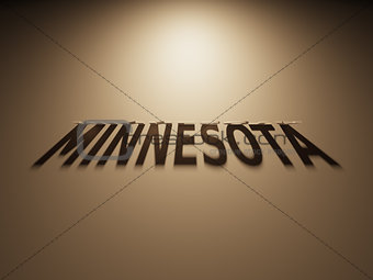 3D Rendering of a Shadow Text that reads Minnesota