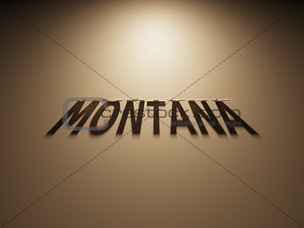 3D Rendering of a Shadow Text that reads Montana