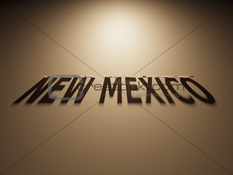 3D Rendering of a Shadow Text that reads New Mexico