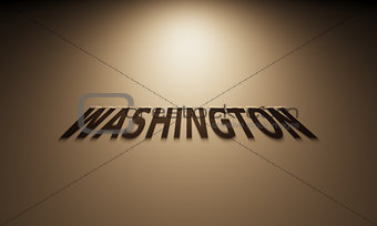 3D Rendering of a Shadow Text that reads Washington