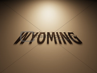 3D Rendering of a Shadow Text that reads Wyoming