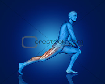 3D male figure in stretching pose 