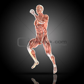 3D render of a medical figure with muscle map in running pose